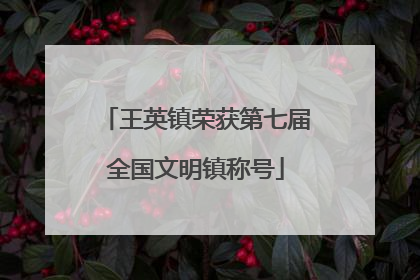 王英镇荣获第七届全国文明镇称号