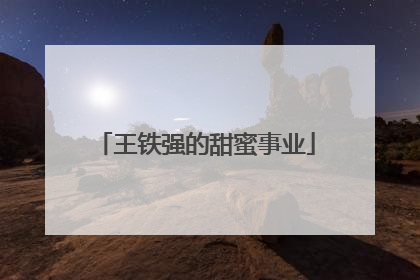 王铁强的甜蜜事业