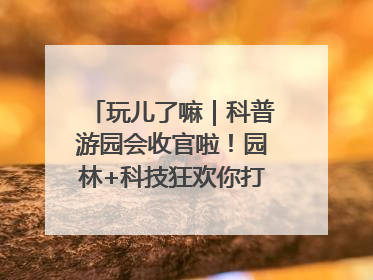 玩儿了嘛｜科普游园会收官啦！园林+科技狂欢你打卡了吗？