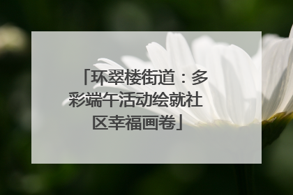 环翠楼街道：多彩端午活动绘就社区幸福画卷