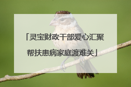 灵宝财政干部爱心汇聚 帮扶患病家庭渡难关