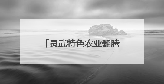 灵武特色农业翻腾振兴“致富浪”