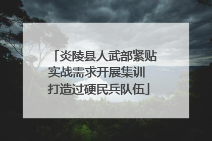 炎陵县人武部紧贴实战需求开展集训 打造过硬民兵队伍