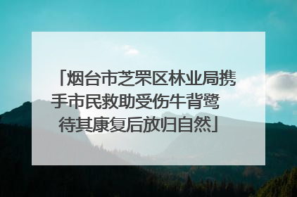 烟台市芝罘区林业局携手市民救助受伤牛背鹭 待其康复后放归自然