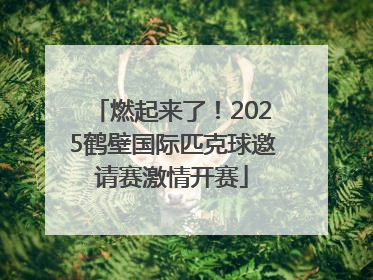 燃起来了！2025鹤壁国际匹克球邀请赛激情开赛