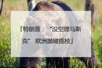 特朗普：“没空理马斯克” 欧洲抛橄榄枝