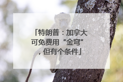 特朗普：加拿大可免费用“金穹”，但有个条件