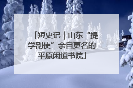 短史记｜山东“提学副使”亲自更名的平原闲道书院