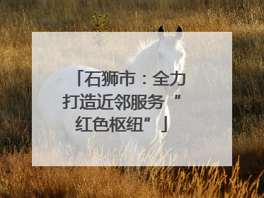 石狮市：全力打造近邻服务“红色枢纽”