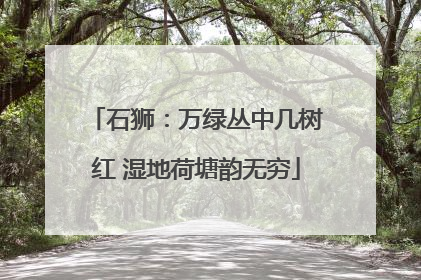 石狮：万绿丛中几树红 湿地荷塘韵无穷