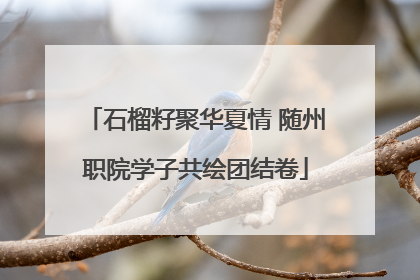 石榴籽聚华夏情 随州职院学子共绘团结卷