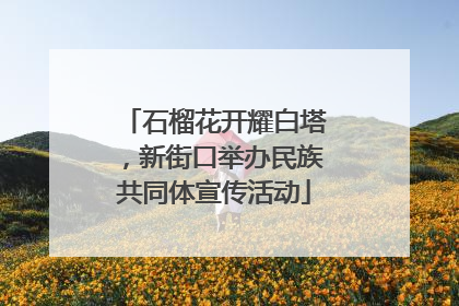 石榴花开耀白塔，新街口举办民族共同体宣传活动