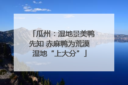 瓜州：湿地景美鸭先知 赤麻鸭为荒漠湿地“上大分”
