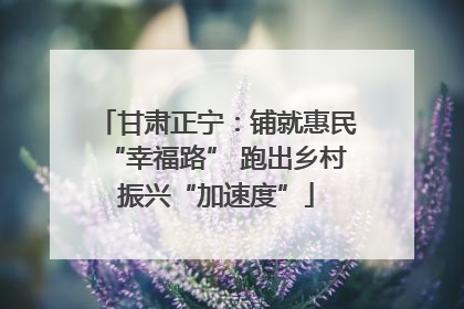 甘肃正宁：铺就惠民“幸福路” 跑出乡村振兴“加速度”