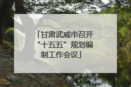 甘肃武威市召开“十五五”规划编制工作会议