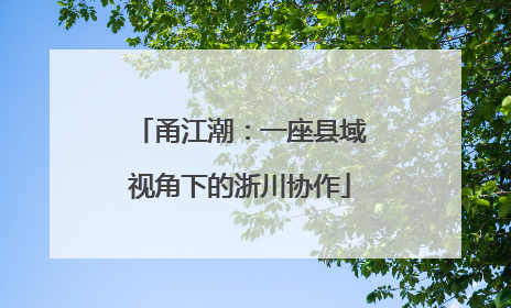甬江潮：一座县域视角下的浙川协作