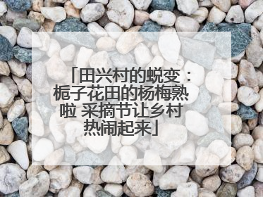 田兴村的蜕变：栀子花田的杨梅熟啦 采摘节让乡村热闹起来