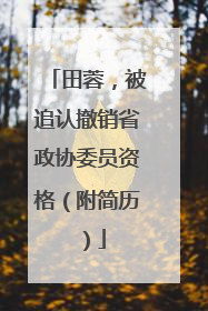 田蓉，被追认撤销省政协委员资格（附简历）