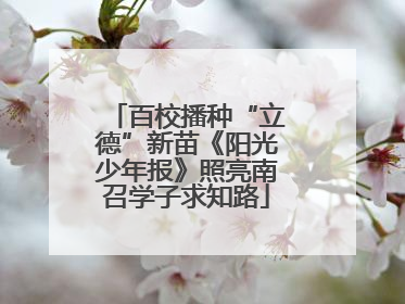 百校播种“立德”新苗《阳光少年报》照亮南召学子求知路