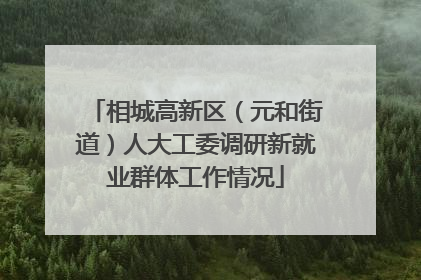 相城高新区（元和街道）人大工委调研新就业群体工作情况