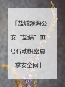 盐城滨海公安“盐靖”Ⅲ号行动织密夏季安全网