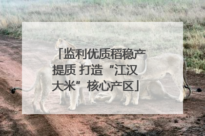 监利优质稻稳产提质 打造“江汉大米”核心产区
