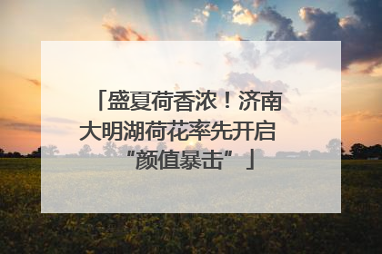 盛夏荷香浓！济南大明湖荷花率先开启“颜值暴击”