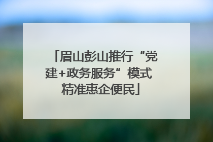 眉山彭山推行“党建+政务服务”模式 精准惠企便民