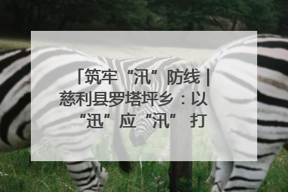 筑牢“汛”防线｜慈利县罗塔坪乡：以“迅”应“汛” 打赢暴雨防御战