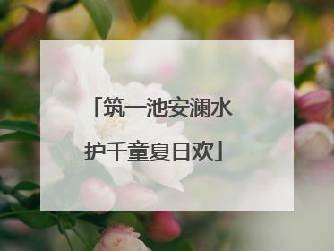 筑一池安澜水 护千童夏日欢
