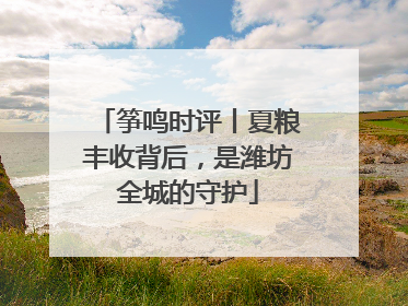 筝鸣时评丨夏粮丰收背后，是潍坊全城的守护
