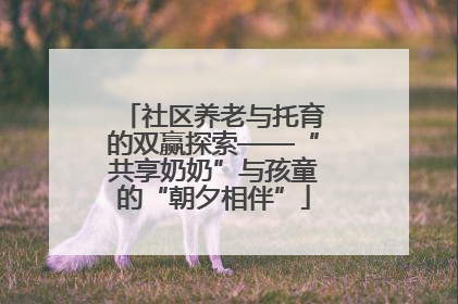 社区养老与托育的双赢探索——“共享奶奶”与孩童的“朝夕相伴”