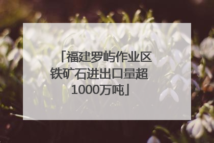 福建罗屿作业区铁矿石进出口量超1000万吨