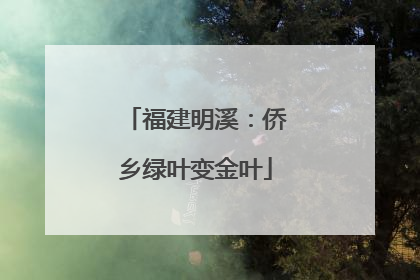 福建明溪：侨乡绿叶变金叶