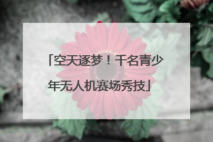 空天逐梦！千名青少年无人机赛场秀技