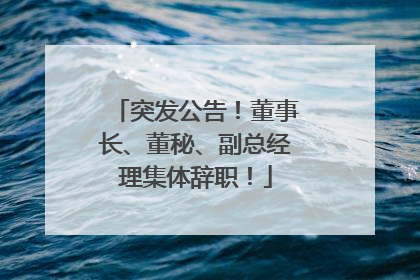 突发公告！董事长、董秘、副总经理集体辞职！
