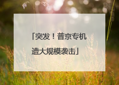 突发！普京专机遭大规模袭击
