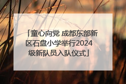 童心向党 成都东部新区石盘小学举行2024级新队员入队仪式