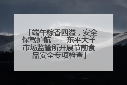 端午粽香四溢，安全保驾护航——东平大羊市场监管所开展节前食品安全专项检查