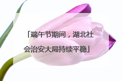 端午节期间，湖北社会治安大局持续平稳