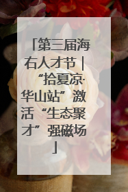 第三届海右人才节｜“拾夏凉·华山站”激活“生态聚才”强磁场