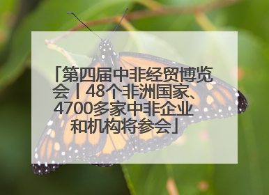 第四届中非经贸博览会丨48个非洲国家、4700多家中非企业和机构将参会