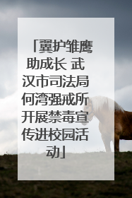 翼护雏鹰助成长 武汉市司法局何湾强戒所开展禁毒宣传进校园活动