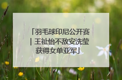 羽毛球印尼公开赛｜王祉怡不敌安洗莹 获得女单亚军