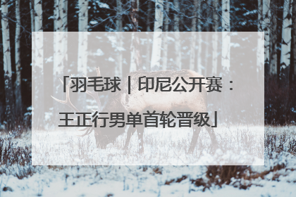 羽毛球｜印尼公开赛：王正行男单首轮晋级