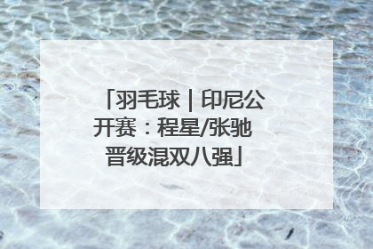 羽毛球｜印尼公开赛：程星/张驰晋级混双八强