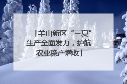羊山新区“三夏”生产全面发力，护航农业稳产增收