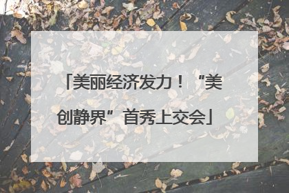 美丽经济发力！“美创静界”首秀上交会