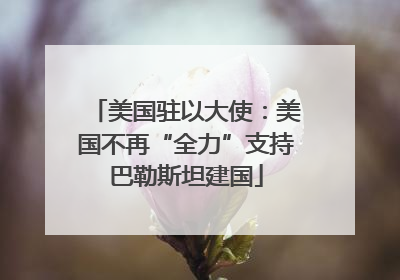 美国驻以大使：美国不再“全力”支持巴勒斯坦建国