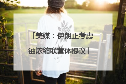 美媒：伊朗正考虑铀浓缩联营体提议